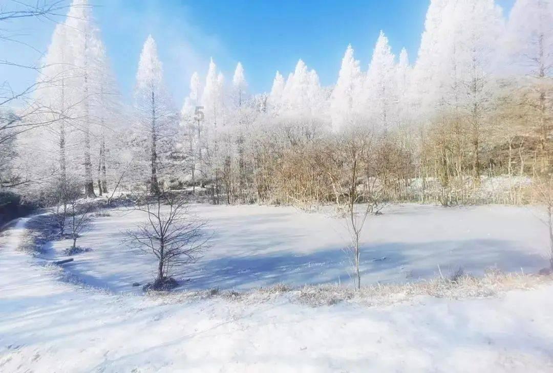 逃离冰淇淋岛屿