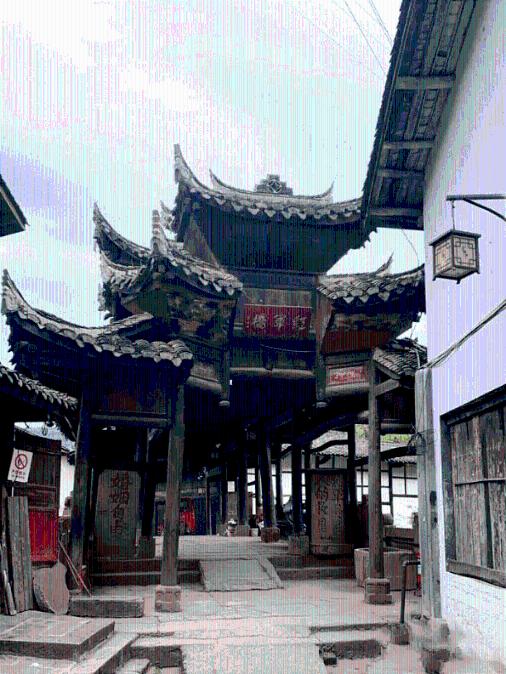 盐和避难所