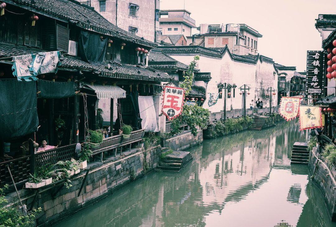组装机械机甲暴龙2